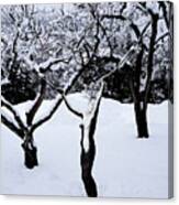 Winterland Canvas Print