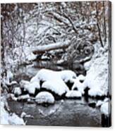 Winters Crossing Canvas Print