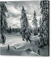 Winter Wonderland Harz In Monochrome Canvas Print