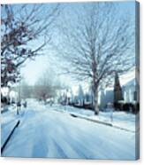 Wintry Snow Fall - Georgia Canvas Print