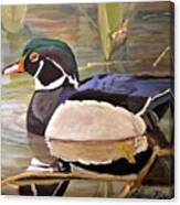 Wood Duck On Pond Canvas Print