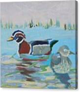 Wood Duck Pair Canvas Print