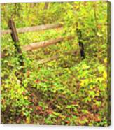 Wooden Fence In Autumn Canvas Print