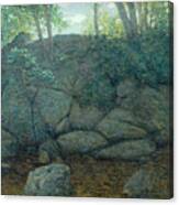 Woodland Rocks Canvas Print