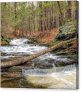 Woodland Waters Canvas Print