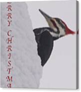 Woodpecker Christmas Canvas Print