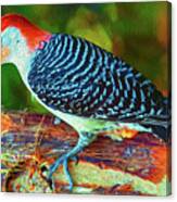 Woodpecker On A Log Canvas Print