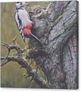Woodpecker On Tree Canvas Print