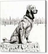 Woods Dog Canvas Print