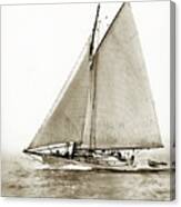 Yankee A   52-footer Wooden Schooner She Was  At William F. Stone's Of S. F. 1906 Canvas Print