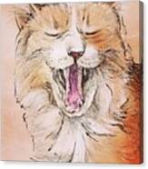 Yawning Ginger Cat Canvas Print