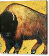 Yellow Buffalo Canvas Print