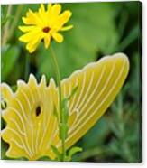 Yellow Butterfly Canvas Print