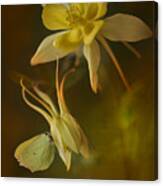 Yellow Butterfly Sitting On A Yellow Flower Canvas Print