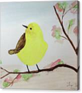 Yellow Chickadee On A Branch Canvas Print