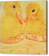 Yellow Chicks Canvas Print