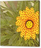 Yellow Daisy Dots Canvas Print