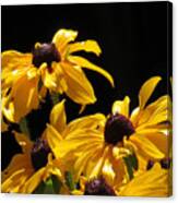 Yellow Flower 2 Canvas Print