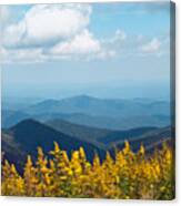 Yellow Flowers Along The Blue Ridge Mountains Canvas Print