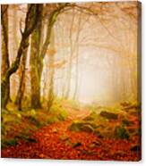 Yellow Forest Mist Canvas Print