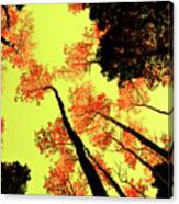 Yellow Sky, Burning Leaves Canvas Print