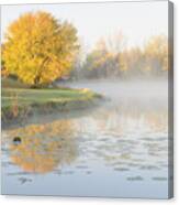 Yellow Tree Reflection On The Lake Canvas Print