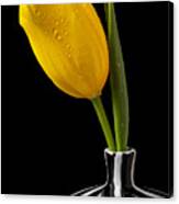 Yellow Tulip In Striped Vase Canvas Print