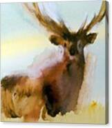 Yellowstone  Elk Canvas Print