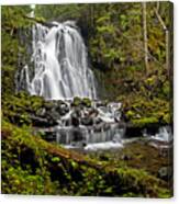 Yocum Falls. Oregon Canvas Print