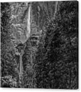 Yosemite Falls In Black And White Iii Canvas Print