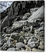 Yosemite Rocks Canvas Print