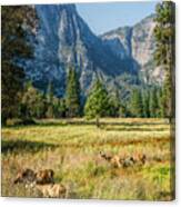Yosemite Valley At Yosemite National Park Canvas Print