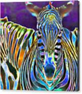 Zebra Crossing Canvas Print