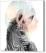 Zebra // Dreaming Canvas Print