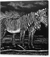 Zebras Canvas Print