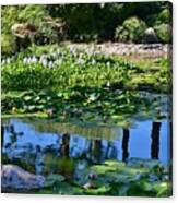 Zen-like 10 Pond Flowers And Reflections Canvas Print