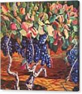 Zinfandel Grape Zanies Canvas Print