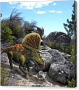 Zuniceratops Among Rocks Canvas Print