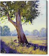 Afternoon Light Grazing #1 Canvas Print