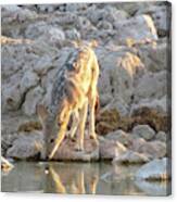 At The Water Hole ... #1 Canvas Print
