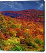 Autumn Along The Blue Ridge Parkway #1 Canvas Print