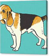 Beagle #1 Canvas Print