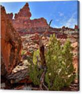 Beautiful Valley Of The Gods In Utah #1 Canvas Print