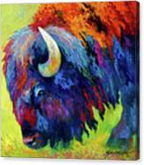 Bison Portrait Ii #1 Canvas Print