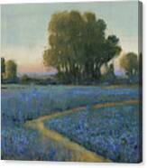 Blue Bonnet Field I #1 Canvas Print