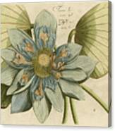 Blue Lotus Flower I #1 Canvas Print