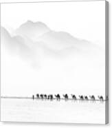 Camel Caravan #1 Canvas Print