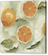Citrus Study In Oil Iii #1 Canvas Print