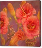 Colors Of Summer Canvas Print