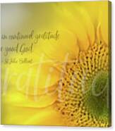 Continual Gratitude Sunflower Canvas Print